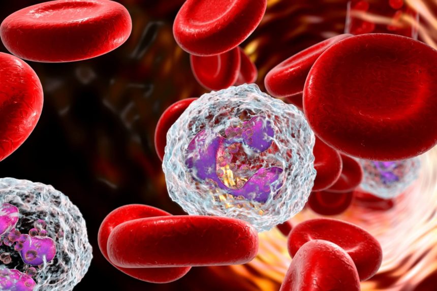 What Is Neutropenia? Roswell Park Comprehensive Cancer