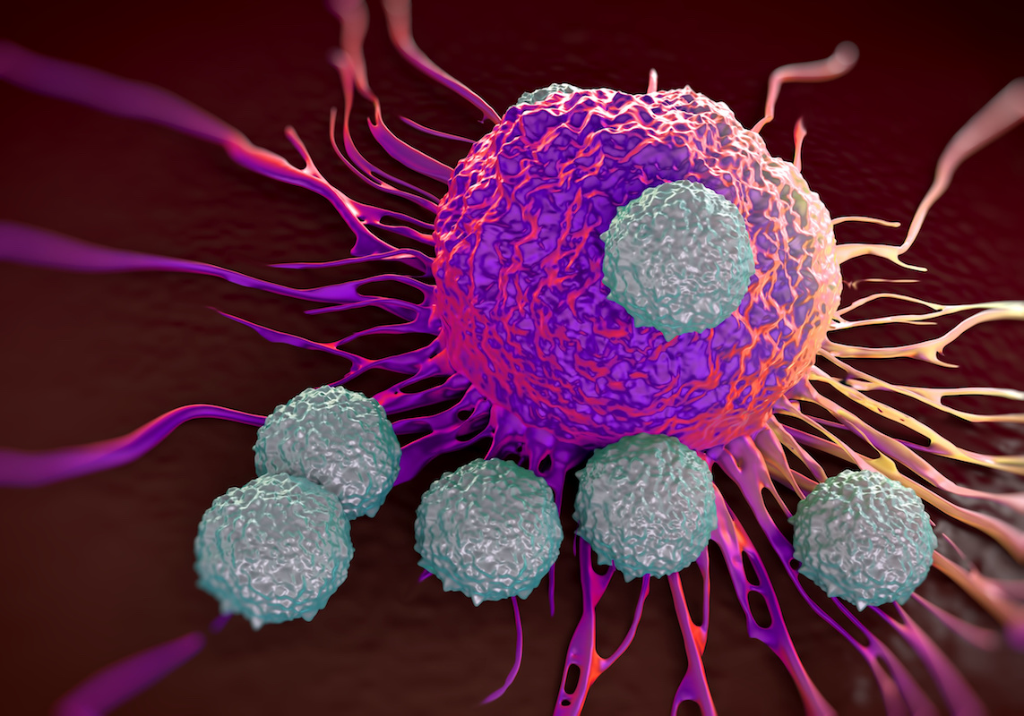 Activating Your Immune System Against Cancer | Roswell Park Comprehensive Cancer Center