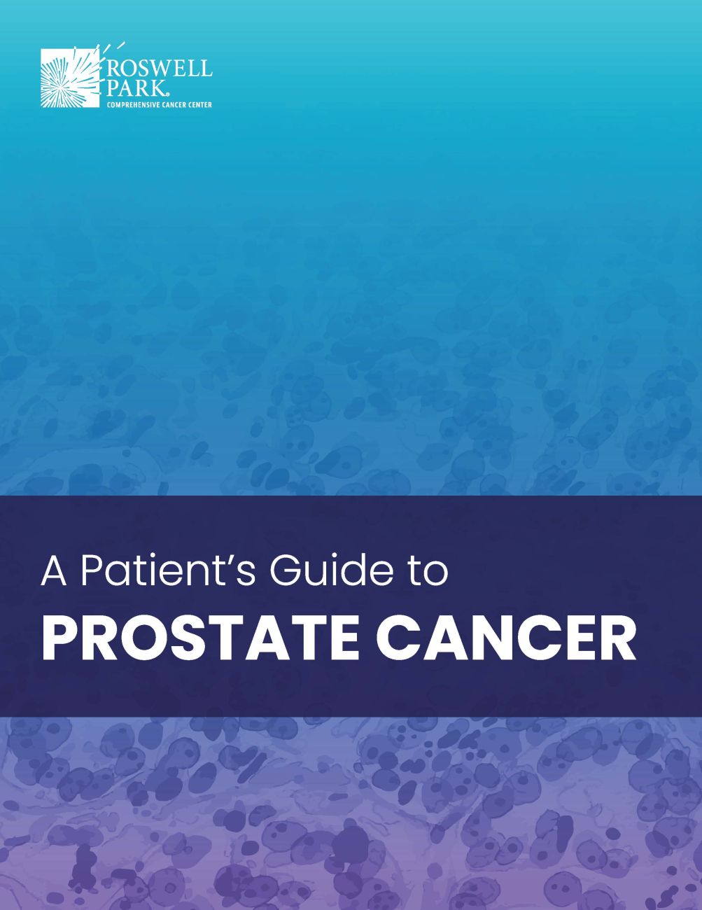 A Patient's Guide to Prostate Cancer book cover by Dr. Khurshid Guru