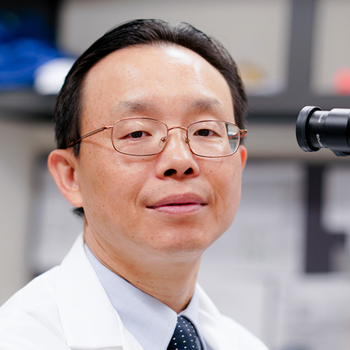 Jingxin Qiu, MD, PhD