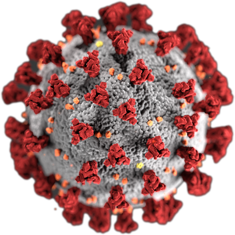 Covid Virus