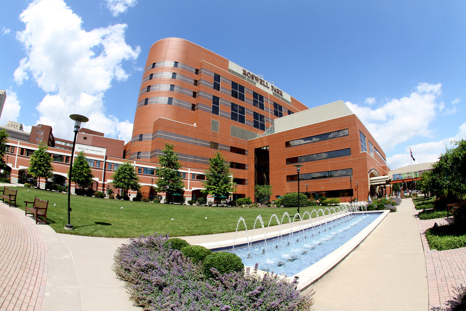 research studies center roswell park