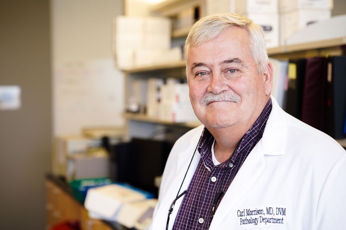 Carl Morrison, MD, DVM