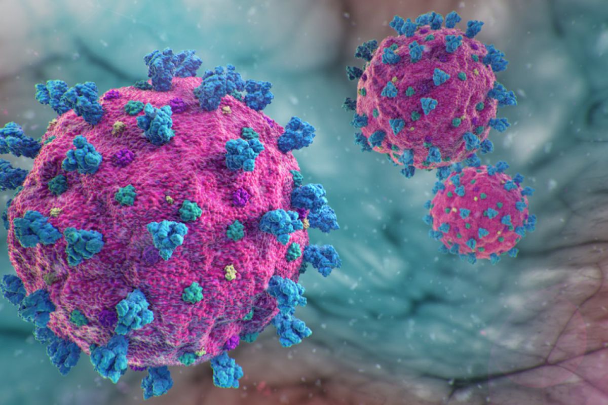 Illustration of The SARS CoV2 coronavirus