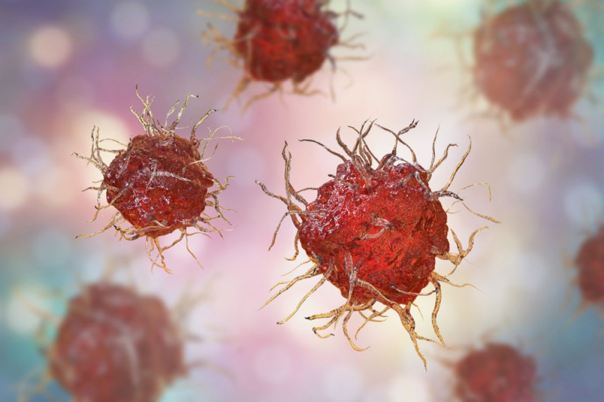 3D illustration of Dendritic cells
