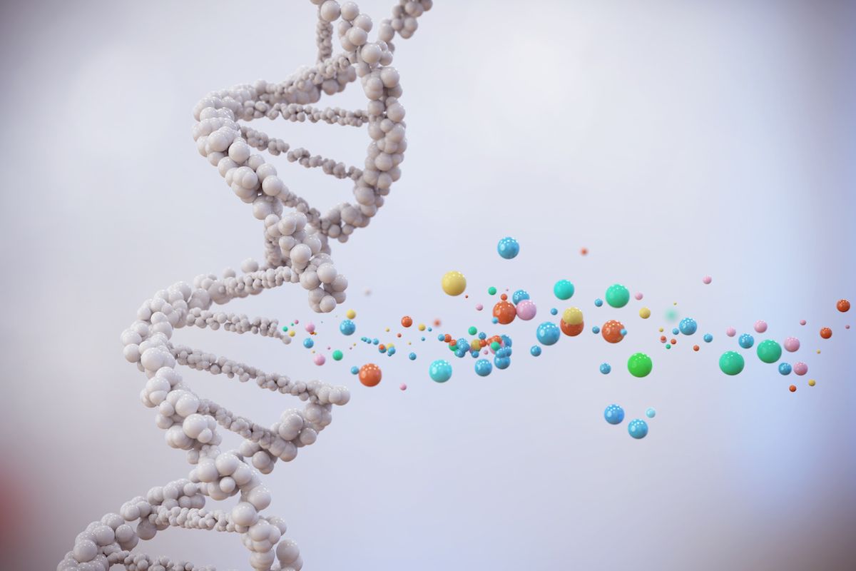 model of decoding DNA