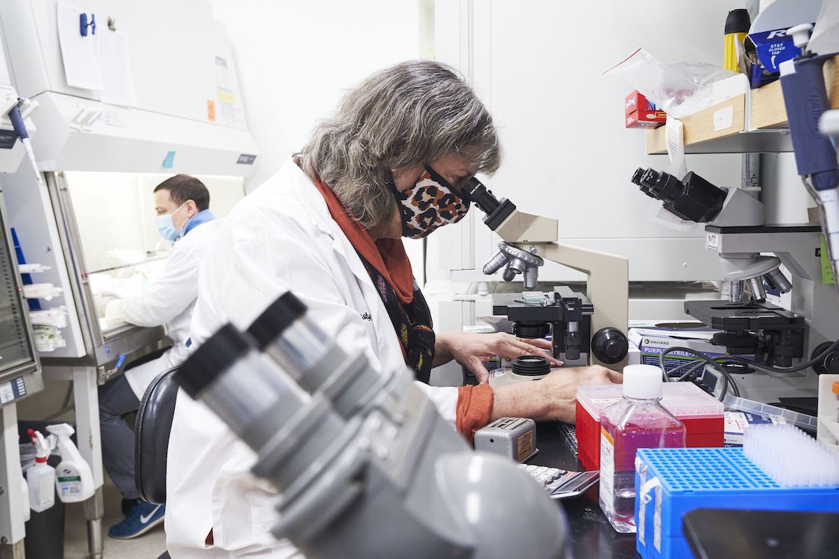 Dr. Elizabeth Repasky looks into a microscope in her laboratory