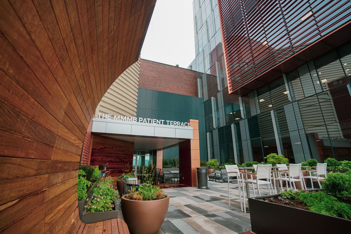 A paved terrace with garden boxes 