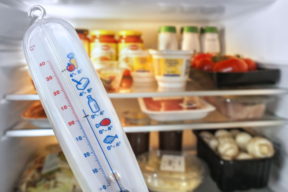 Thermometer measuring temperature of refrigerator 