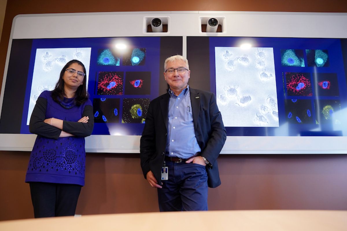 Drs. Shipra Gandhi and Pawel Kalinski stand with slides demonstrating their work
