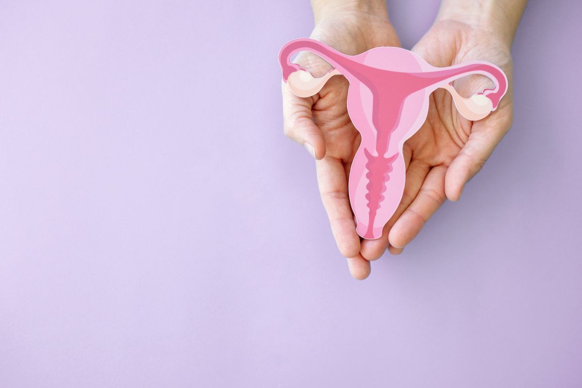 Hands holding a drawing of the female reproductive system, including the uterus, ovaries, fallopian tubes and cervix. 