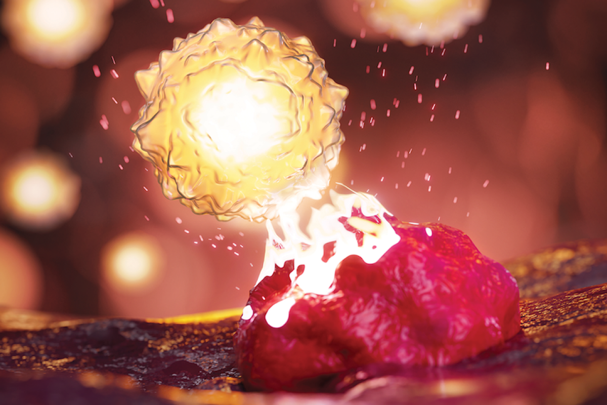 Image of T cell attacking melanoma cell