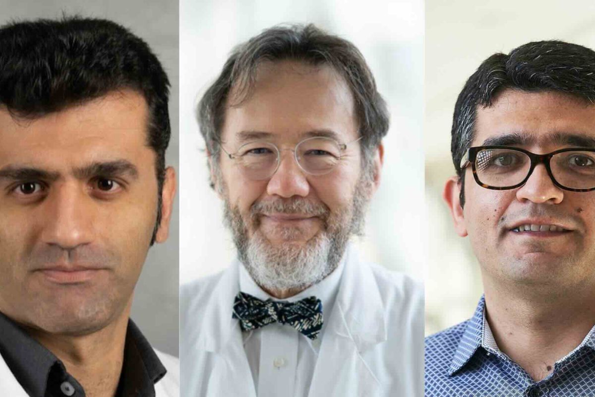 Three doctors headshots