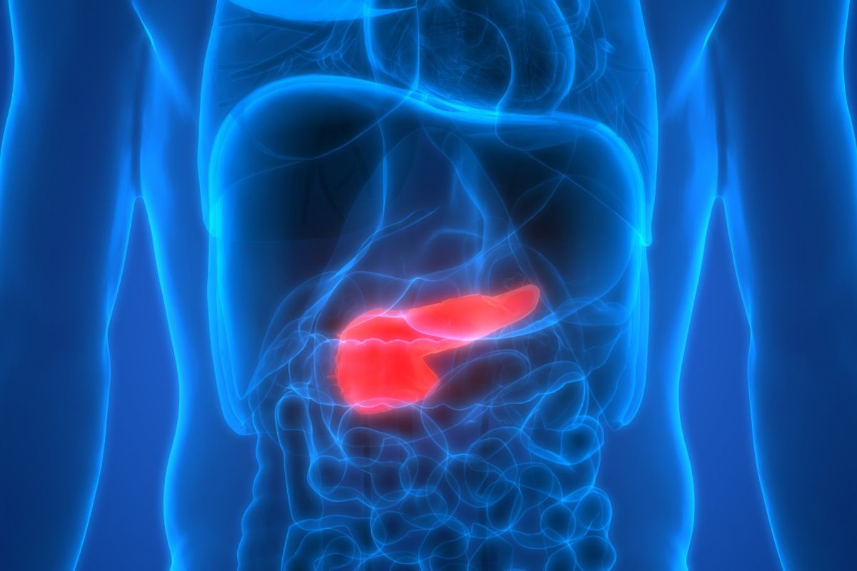 A diagram of an abdomen, the pancreas highlighted red against a blue background.