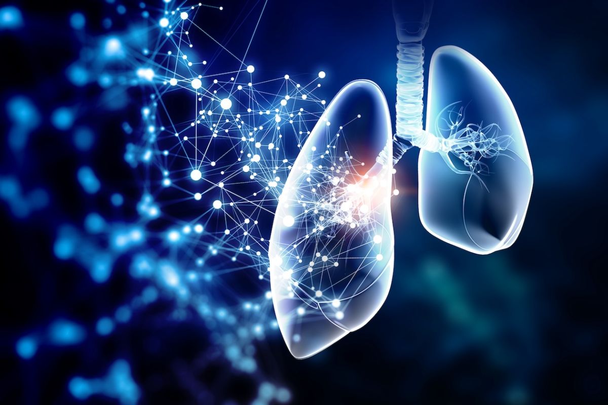 Photo of lungs