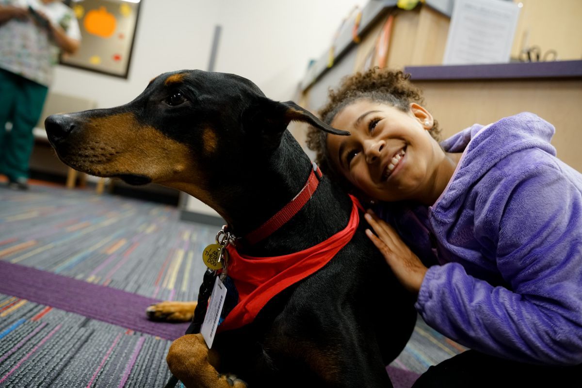 Paws hotsell therapy dogs
