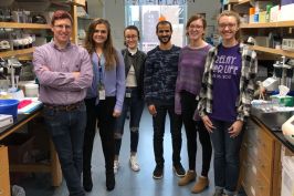 World Pancreatic Cancer Day - The Lab, Buffalo, NY (November 21, 2018)