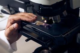 Hand moving a slide under a microscope