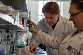 Two scientists working in a lab