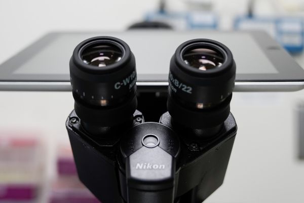 Eyepiece of a microscope