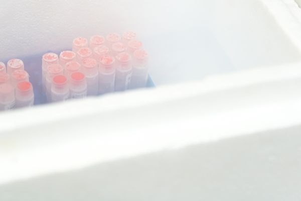 Test tubes in a cooler with dry ice