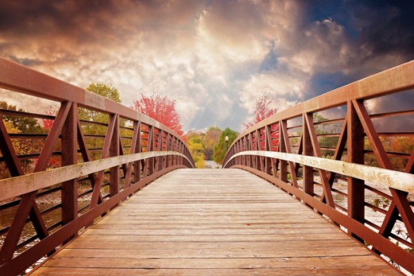 Bridge