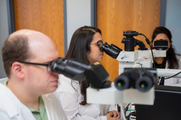 Three pathology fellows sit around a table looking into microscopes