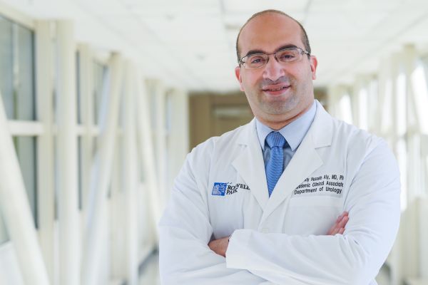 Dr. Ahmed Aly Hussein Aly