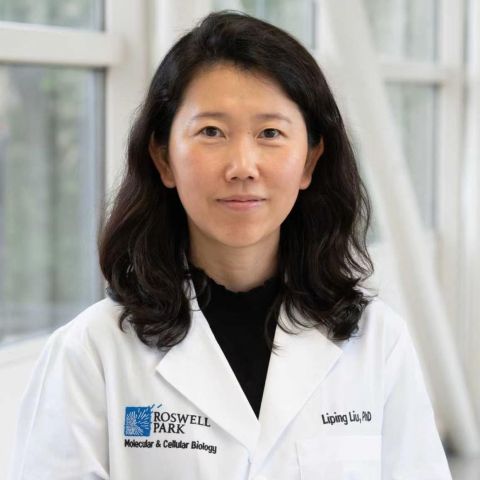 Liping Liu, PhD
