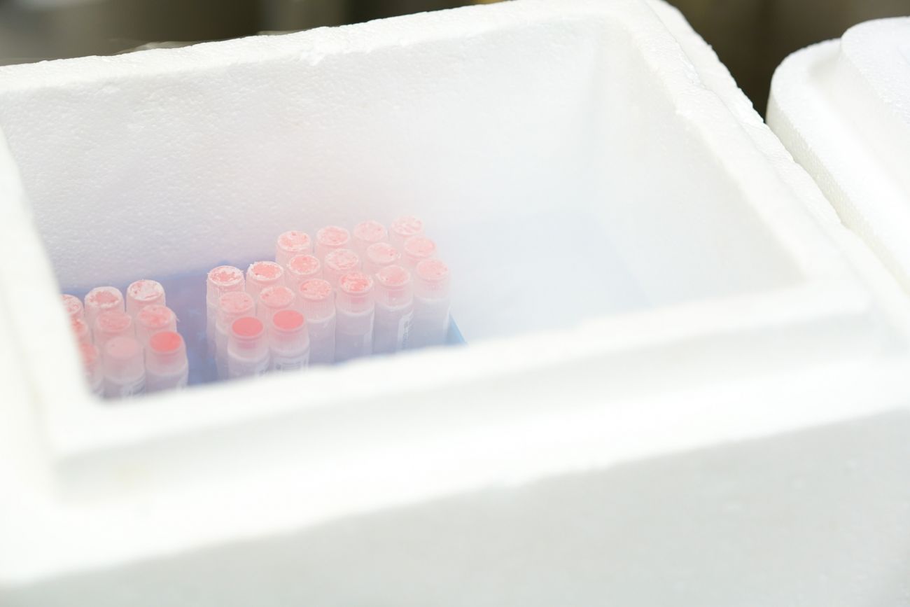 Center for Immunotherapy Test Tubes