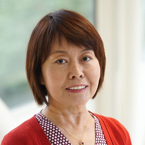 Dr. Iris Zhou Wang