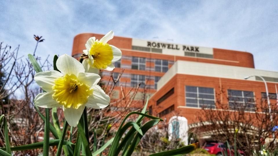 Honor a Loved One at Roswell Park