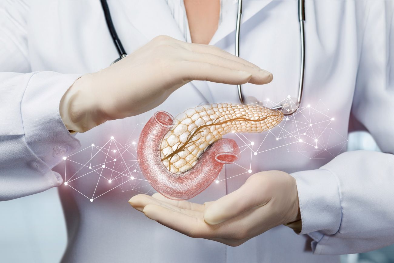 Person in lab coat with their hands around an illustration of a pancreas