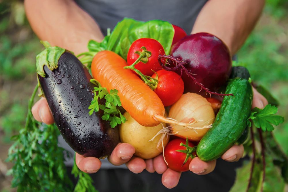 Person holding fresh vegetables