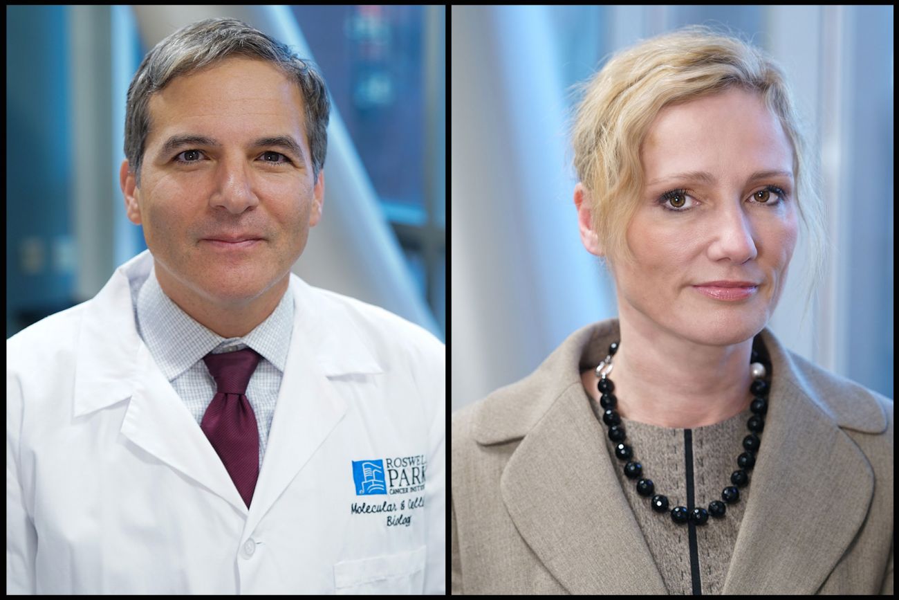 Roswell Park-Led Team Proposes CDK2 Enzyme as New Target for