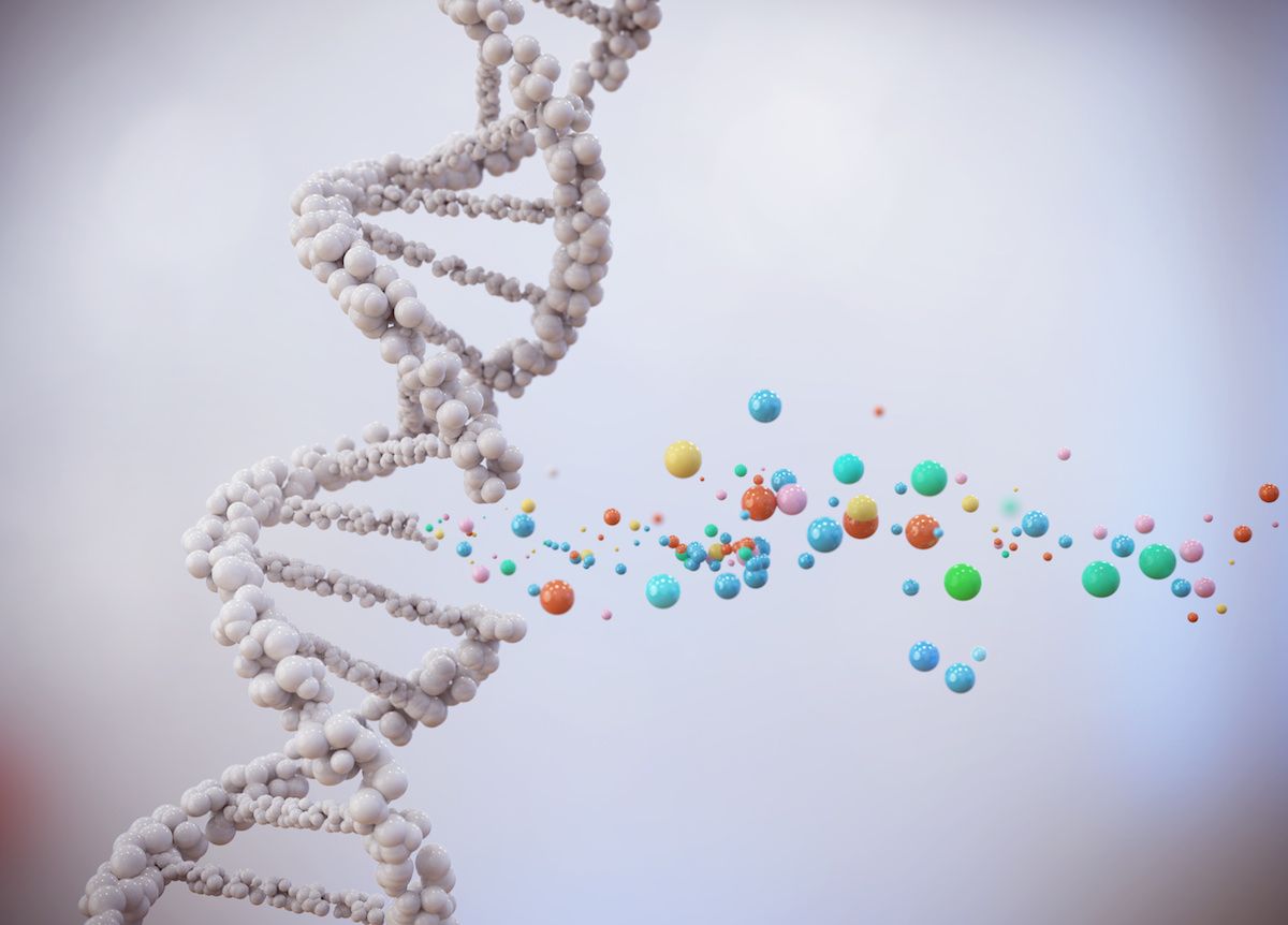 model of decoding DNA