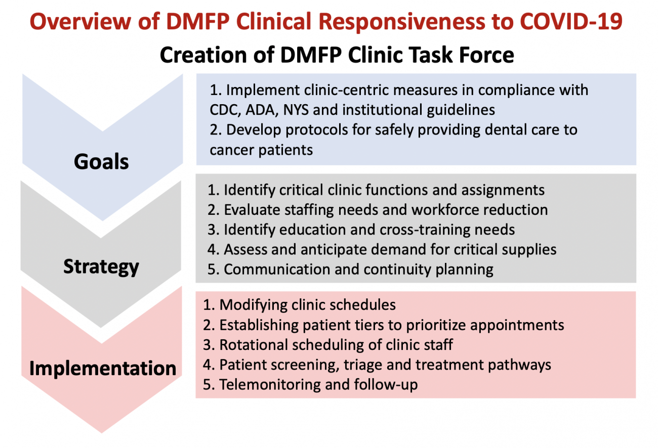 Overview of DFMP Clinical Responsiveness to COVID-19