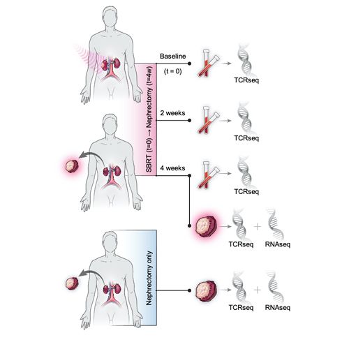 Cell study research figure