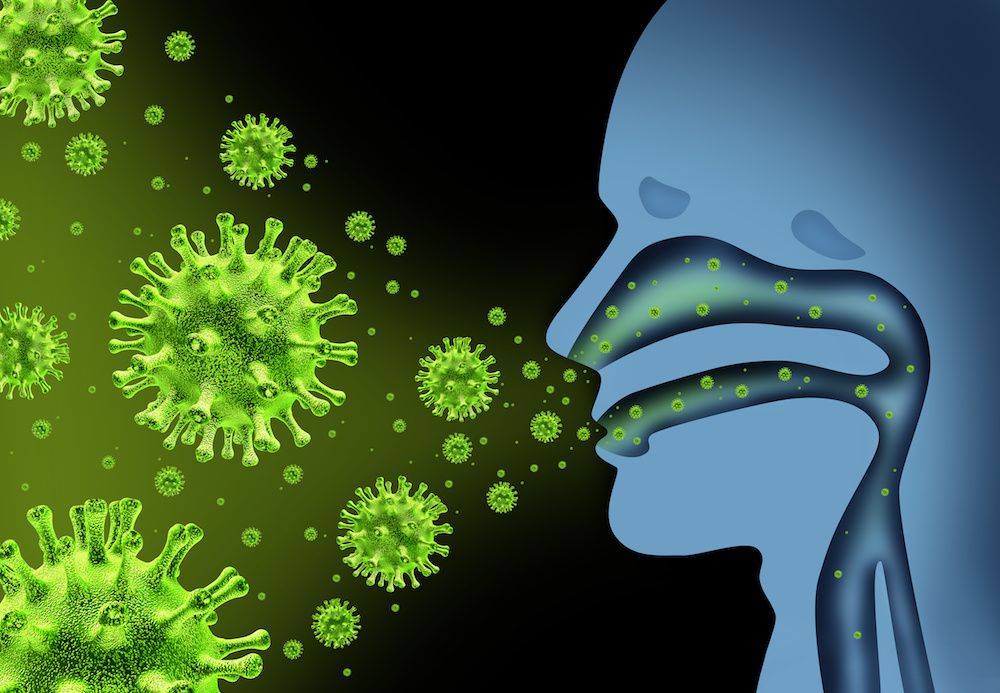 Illustration of sinus cavities with flu germs entering
