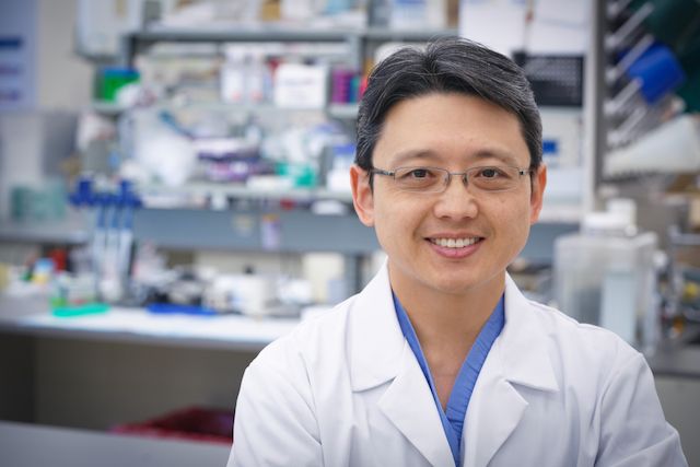 Fumito Ito, MD, PhD, in lab