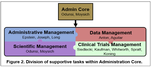 Organization Chart of the SPORE