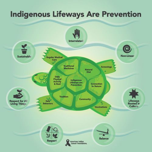 Indigenous Lifeways Are Prevention