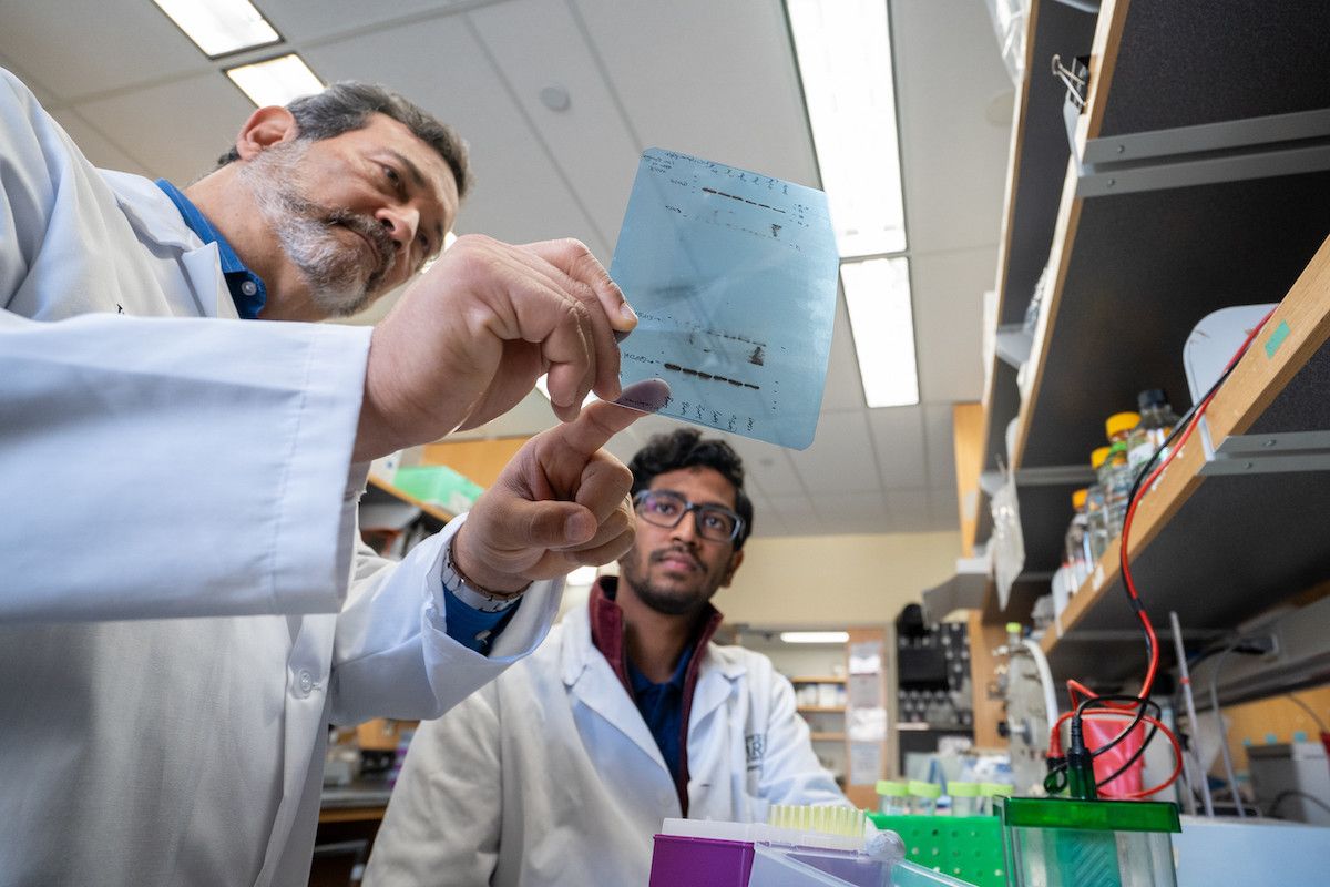 Scientists looking at data in a lab