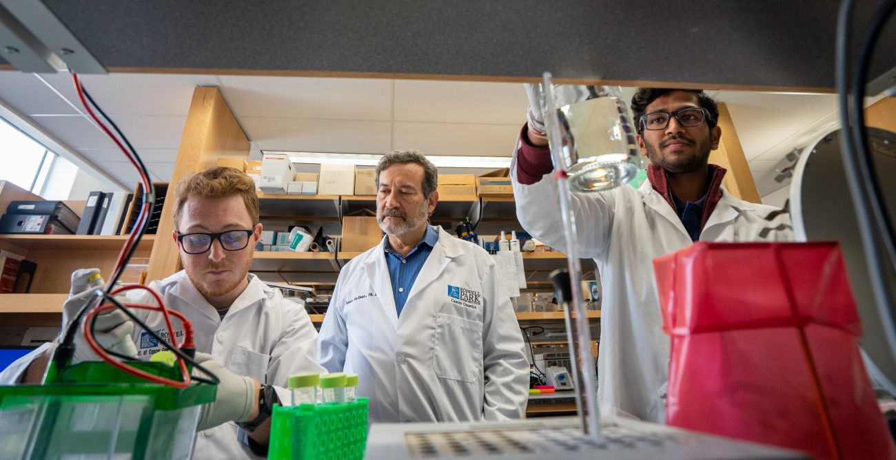 Scientists working in a lab