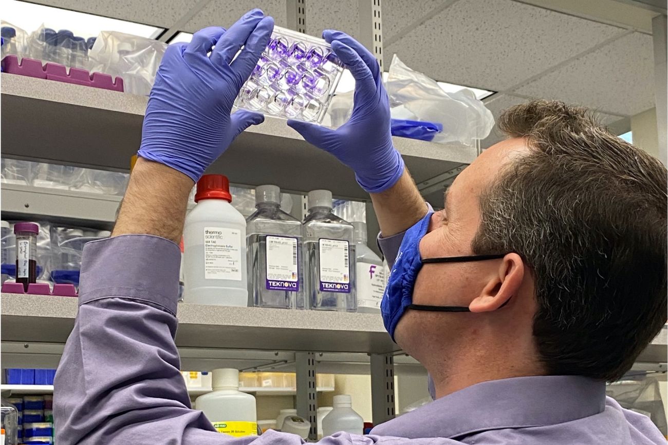 Scientist looking at test tubes