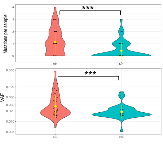 Graph showing mutations per sample