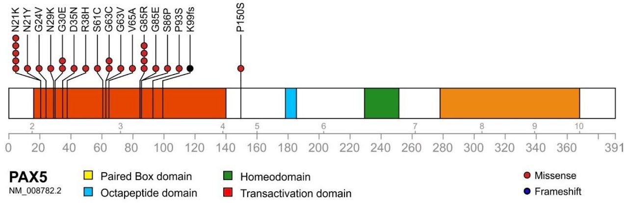 Characterizing the Mutational Landscapes in Mouse Models