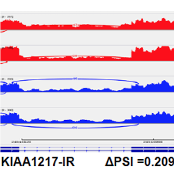 Image from Dr. Tang research study