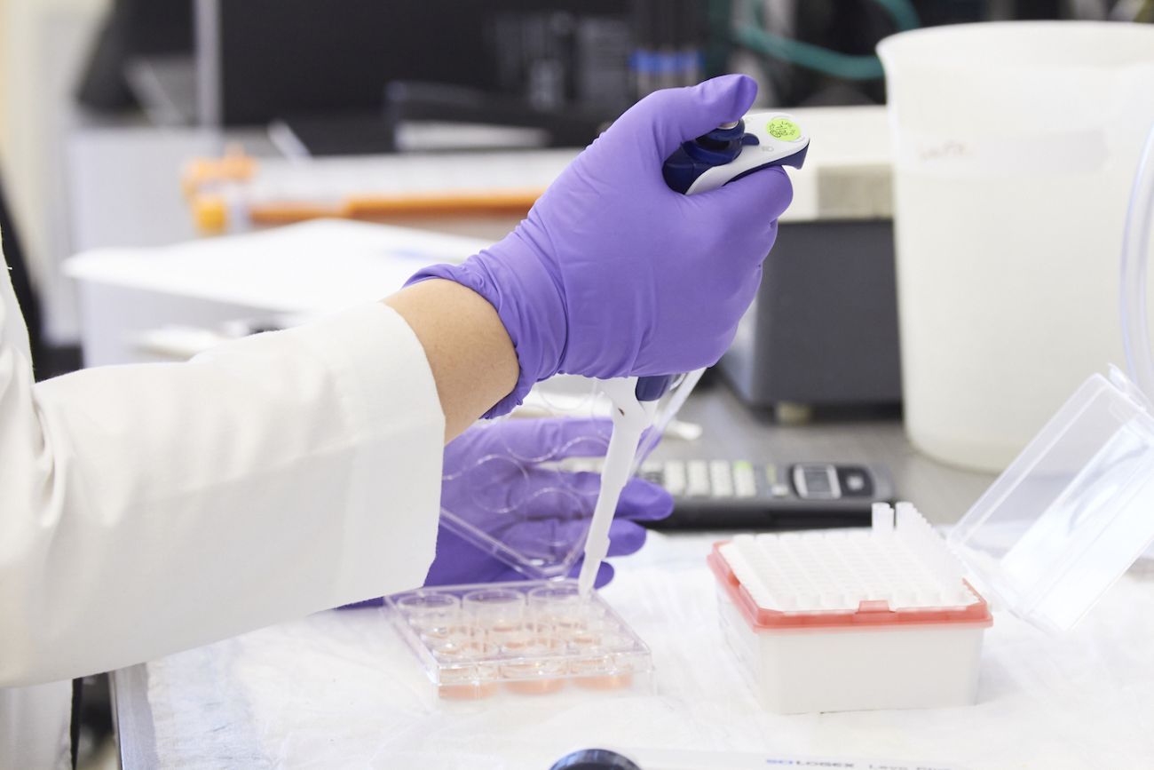 Dr. Eunice Wang in leukemia lab 