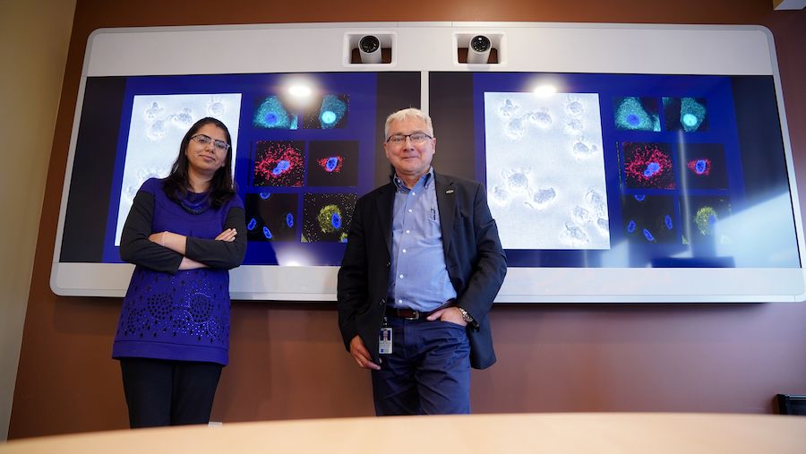 Drs. Shipra Gandhi and Pawel Kalinski stand with slides demonstrating their work